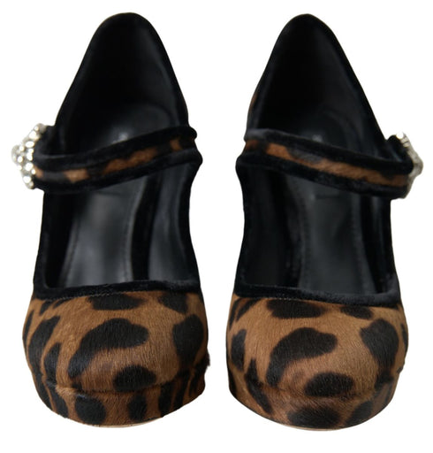 Dolce & Gabbana Leopard Heel Mary Jane Pumps – Black Brown Calf Fur Women’s Designer Shoes
