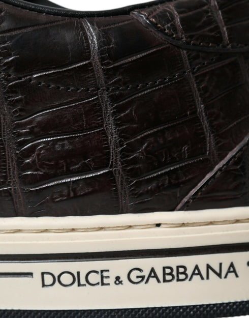 Dolce & Gabbana Brown Croc Exotic Leather Men Casual Sneakers Shoes