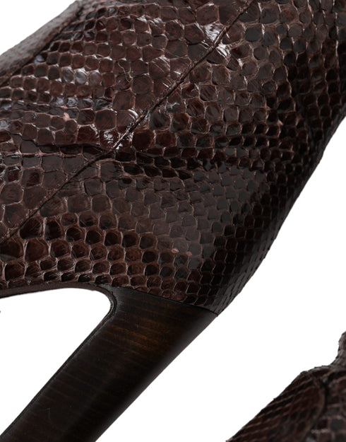 Dolce & Gabbana High Boots in Brown Exotic Python Leather with Glossy Finish - Women’s