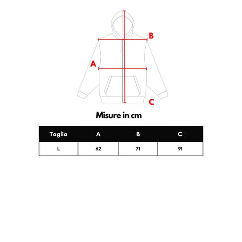 Balenciaga Gray Cotton Hoody