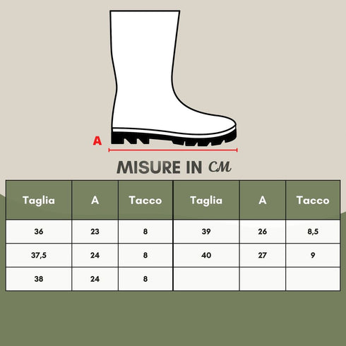 Burberry Buckle Ankle Boots Brown Leather Women's Designer Footwear