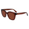 Ferragamo Brown Injected Sunglasses