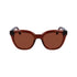 Ferragamo Brown Injected Sunglasses