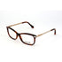 Roberto Cavalli Brown Acetate Glasses (Frames)